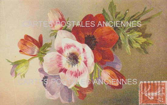 Cartes postales anciennes > CARTES POSTALES > carte postale ancienne > cartes-postales-ancienne.com Fleurs