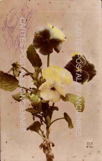 Cartes postales anciennes > CARTES POSTALES > carte postale ancienne > cartes-postales-ancienne.com Fleurs