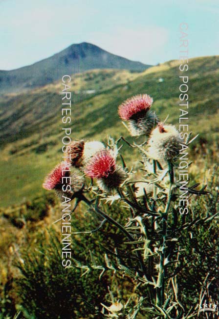 Cartes postales anciennes > CARTES POSTALES > carte postale ancienne > cartes-postales-ancienne.com Fleurs