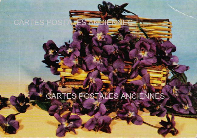 Cartes postales anciennes > CARTES POSTALES > carte postale ancienne > cartes-postales-ancienne.com Fleurs