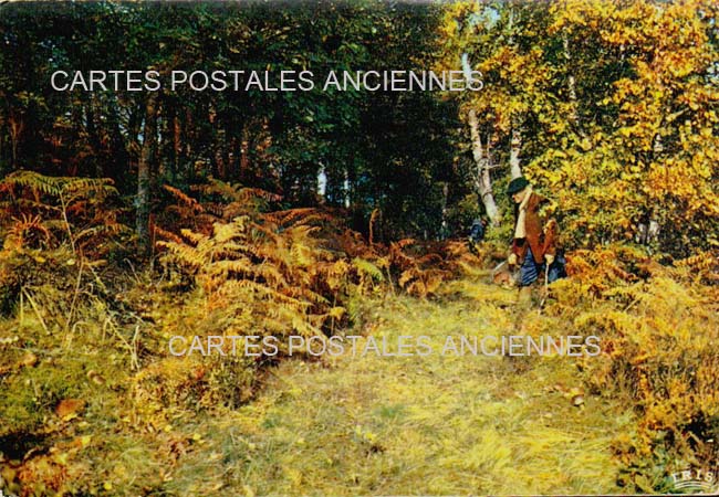 Cartes postales anciennes > CARTES POSTALES > carte postale ancienne > cartes-postales-ancienne.com Paysage