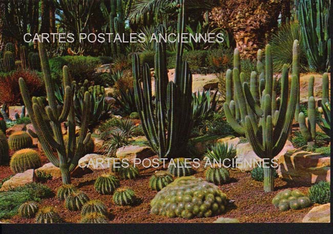 Cartes postales anciennes > CARTES POSTALES > carte postale ancienne > cartes-postales-ancienne.com Divers