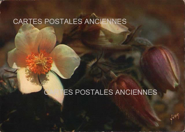 Cartes postales anciennes > CARTES POSTALES > carte postale ancienne > cartes-postales-ancienne.com Fleurs