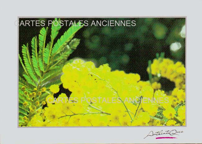 Cartes postales anciennes > CARTES POSTALES > carte postale ancienne > cartes-postales-ancienne.com Fleurs