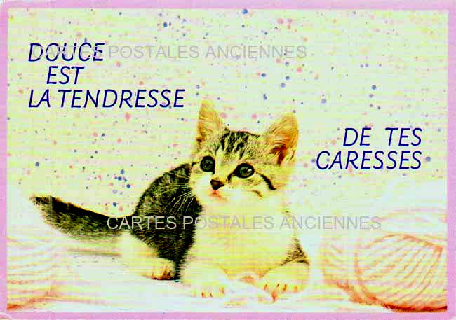 Cartes postales anciennes > CARTES POSTALES > carte postale ancienne > cartes-postales-ancienne.com Animaux Chats