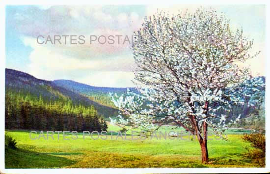 Cartes postales anciennes > CARTES POSTALES > carte postale ancienne > cartes-postales-ancienne.com Paysage