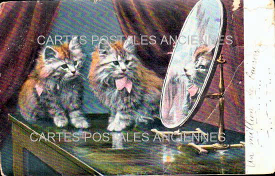 Cartes postales anciennes > CARTES POSTALES > carte postale ancienne > cartes-postales-ancienne.com Animaux Chats