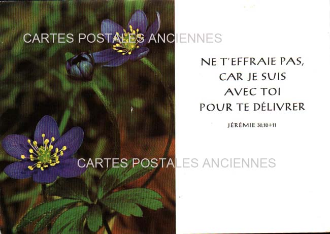 Cartes postales anciennes > CARTES POSTALES > carte postale ancienne > cartes-postales-ancienne.com Divers