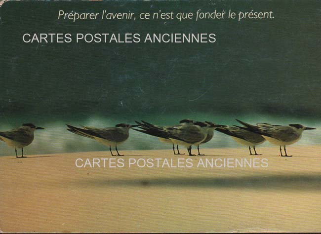 Cartes postales anciennes > CARTES POSTALES > carte postale ancienne > cartes-postales-ancienne.com Divers