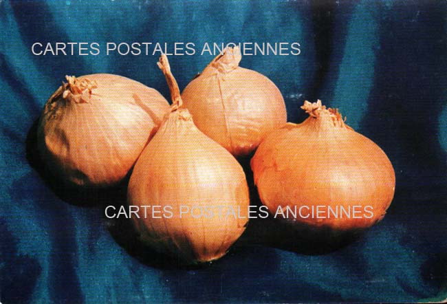 Cartes postales anciennes > CARTES POSTALES > carte postale ancienne > cartes-postales-ancienne.com Divers