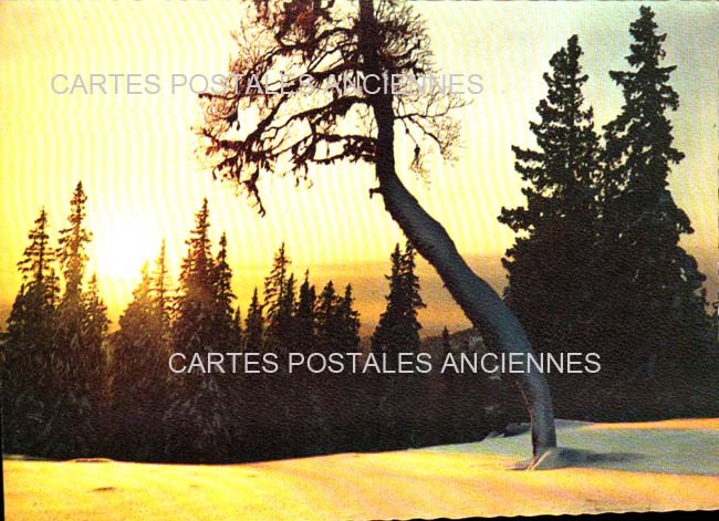 Cartes postales anciennes > CARTES POSTALES > carte postale ancienne > cartes-postales-ancienne.com Divers