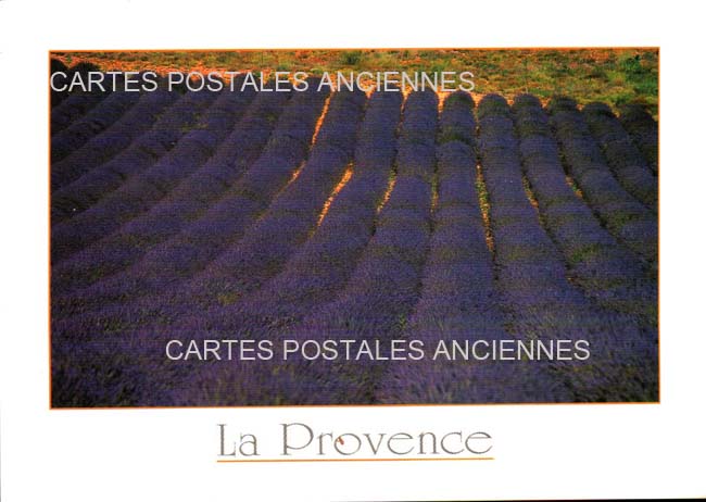 Cartes postales anciennes > CARTES POSTALES > carte postale ancienne > cartes-postales-ancienne.com Paysage