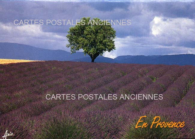 Cartes postales anciennes > CARTES POSTALES > carte postale ancienne > cartes-postales-ancienne.com Paysage