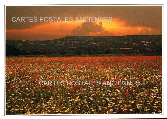 Cartes postales anciennes > CARTES POSTALES > carte postale ancienne > cartes-postales-ancienne.com Paysage