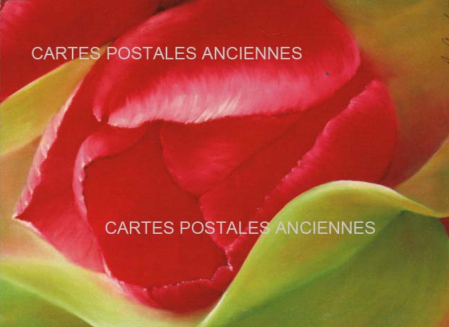 Cartes postales anciennes > CARTES POSTALES > carte postale ancienne > cartes-postales-ancienne.com Fleurs