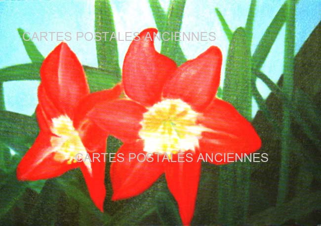 Cartes postales anciennes > CARTES POSTALES > carte postale ancienne > cartes-postales-ancienne.com Fleurs