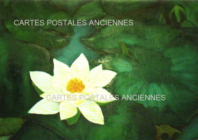 Cartes postales anciennes > CARTES POSTALES > carte postale ancienne > cartes-postales-ancienne.com Fleurs