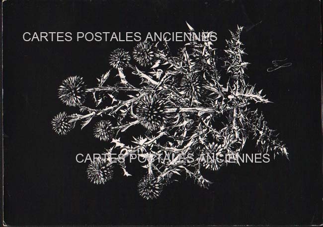 Cartes postales anciennes > CARTES POSTALES > carte postale ancienne > cartes-postales-ancienne.com Fleurs