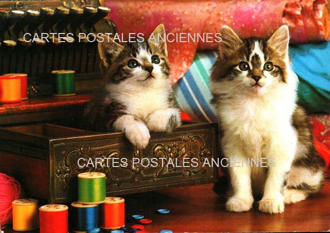 Cartes postales anciennes > CARTES POSTALES > carte postale ancienne > cartes-postales-ancienne.com Animaux Chats