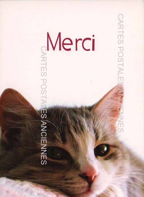 Cartes postales anciennes > CARTES POSTALES > carte postale ancienne > cartes-postales-ancienne.com Animaux Chats