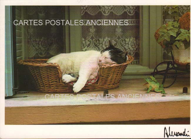 Cartes postales anciennes > CARTES POSTALES > carte postale ancienne > cartes-postales-ancienne.com Animaux Chats