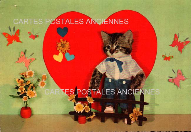 Cartes postales anciennes > CARTES POSTALES > carte postale ancienne > cartes-postales-ancienne.com Animaux Chats