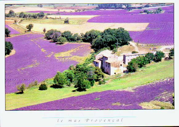 Cartes postales anciennes > CARTES POSTALES > carte postale ancienne > cartes-postales-ancienne.com Paysage