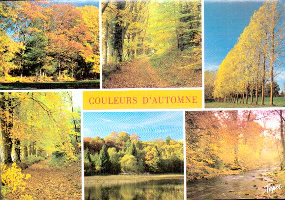 Cartes postales anciennes > CARTES POSTALES > carte postale ancienne > cartes-postales-ancienne.com Paysage