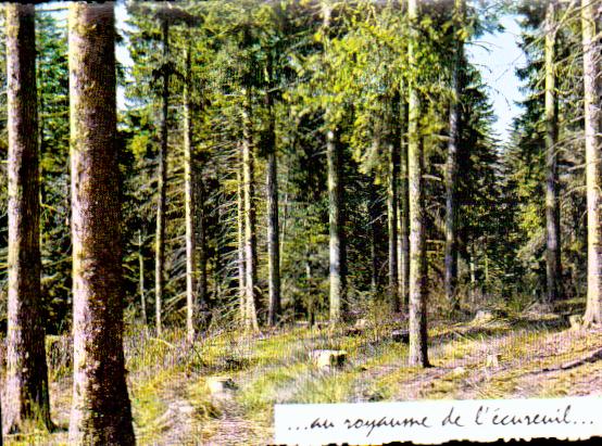 Cartes postales anciennes > CARTES POSTALES > carte postale ancienne > cartes-postales-ancienne.com Paysage