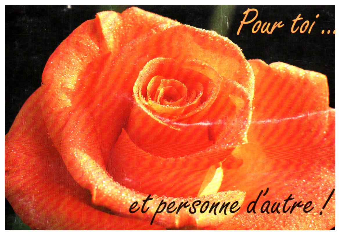 Cartes postales anciennes > CARTES POSTALES > carte postale ancienne > cartes-postales-ancienne.com Fleurs