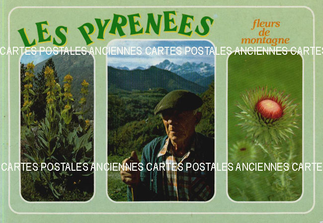 Cartes postales anciennes > CARTES POSTALES > carte postale ancienne > cartes-postales-ancienne.com Fleurs