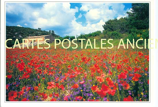 Cartes postales anciennes > CARTES POSTALES > carte postale ancienne > cartes-postales-ancienne.com Fleurs