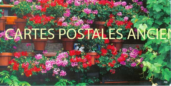 Cartes postales anciennes > CARTES POSTALES > carte postale ancienne > cartes-postales-ancienne.com Fleurs