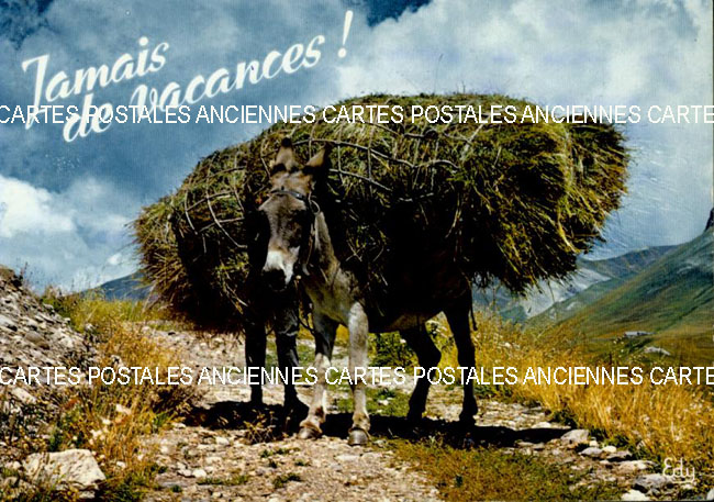 Cartes postales anciennes > CARTES POSTALES > carte postale ancienne > cartes-postales-ancienne.com Humour