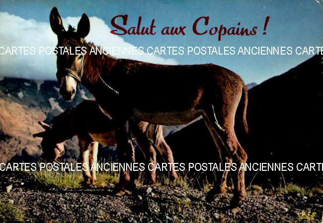 Cartes postales anciennes > CARTES POSTALES > carte postale ancienne > cartes-postales-ancienne.com Humour