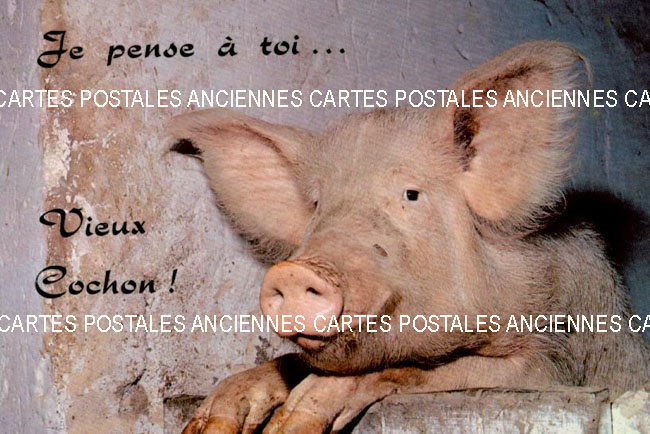 Cartes postales anciennes > CARTES POSTALES > carte postale ancienne > cartes-postales-ancienne.com Humour