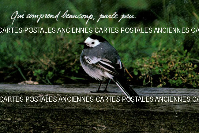 Cartes postales anciennes > CARTES POSTALES > carte postale ancienne > cartes-postales-ancienne.com Humour