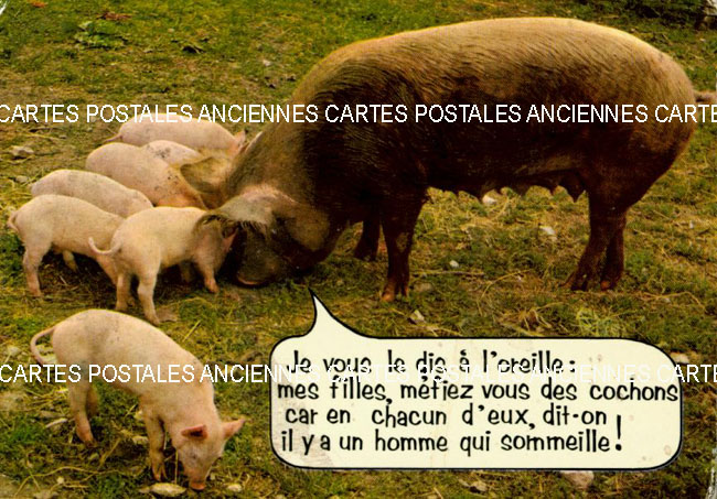 Cartes postales anciennes > CARTES POSTALES > carte postale ancienne > cartes-postales-ancienne.com Humour