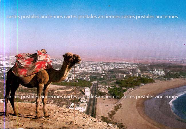 Cartes postales anciennes > CARTES POSTALES > carte postale ancienne > cartes-postales-ancienne.com Maroc