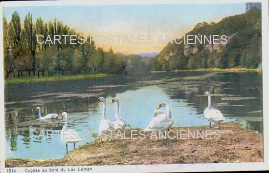 Cartes postales anciennes > CARTES POSTALES > carte postale ancienne > cartes-postales-ancienne.com