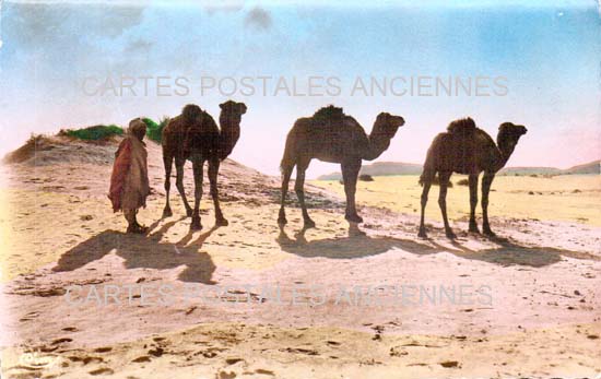 Cartes postales anciennes > CARTES POSTALES > carte postale ancienne > cartes-postales-ancienne.com Maroc