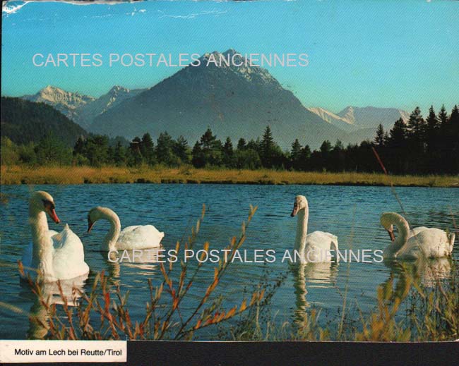 Cartes postales anciennes > CARTES POSTALES > carte postale ancienne > cartes-postales-ancienne.com Union europeenne