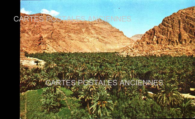 Cartes postales anciennes > CARTES POSTALES > carte postale ancienne > cartes-postales-ancienne.com Maroc