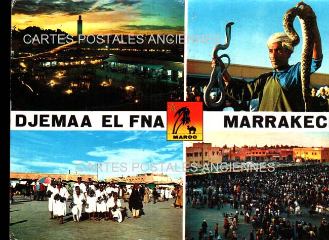 Cartes postales anciennes > CARTES POSTALES > carte postale ancienne > cartes-postales-ancienne.com Maroc