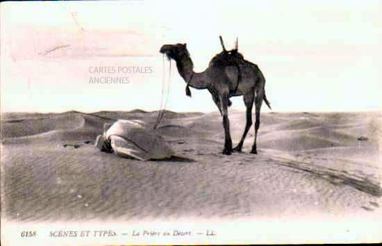 Cartes postales anciennes > CARTES POSTALES > carte postale ancienne > cartes-postales-ancienne.com Algerie