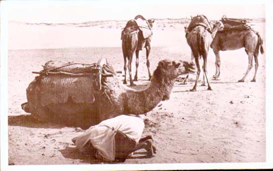 Cartes postales anciennes > CARTES POSTALES > carte postale ancienne > cartes-postales-ancienne.com Maroc