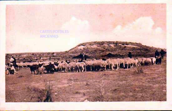 Cartes postales anciennes > CARTES POSTALES > carte postale ancienne > cartes-postales-ancienne.com Tunisie