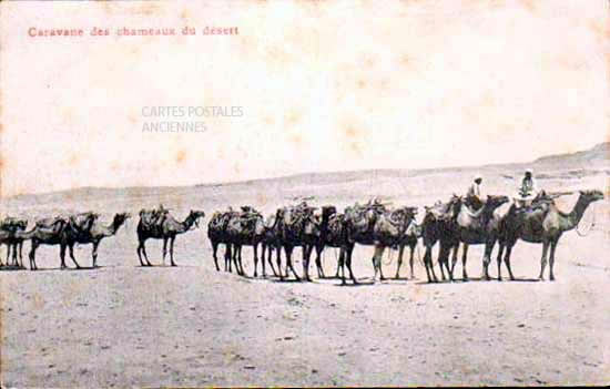 Cartes postales anciennes > CARTES POSTALES > carte postale ancienne > cartes-postales-ancienne.com Egypte