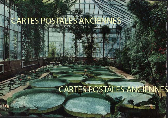 Cartes postales anciennes > CARTES POSTALES > carte postale ancienne > cartes-postales-ancienne.com Union europeenne