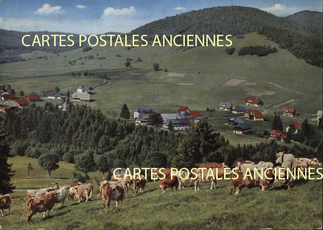 Cartes postales anciennes > CARTES POSTALES > carte postale ancienne > cartes-postales-ancienne.com Union europeenne